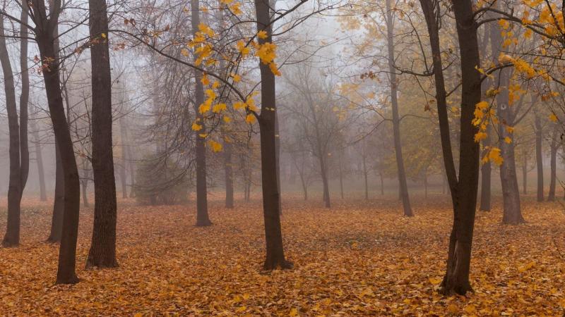 Minden gazda megkönnyebbülhet ettől a hírrel, hiszen a következő napok időjárása kedvező fordulatot hoz.
