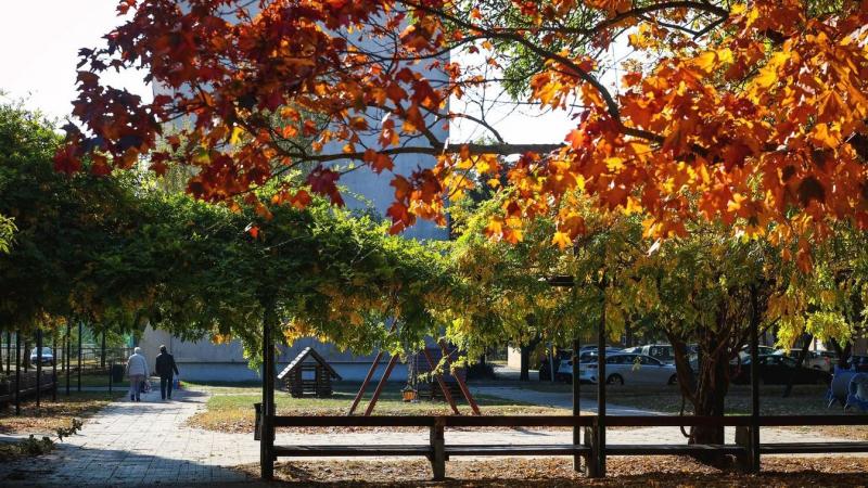 Az ősz slágerterméke lett, de lassan már a megfizethetősége is luxusnak számít.
