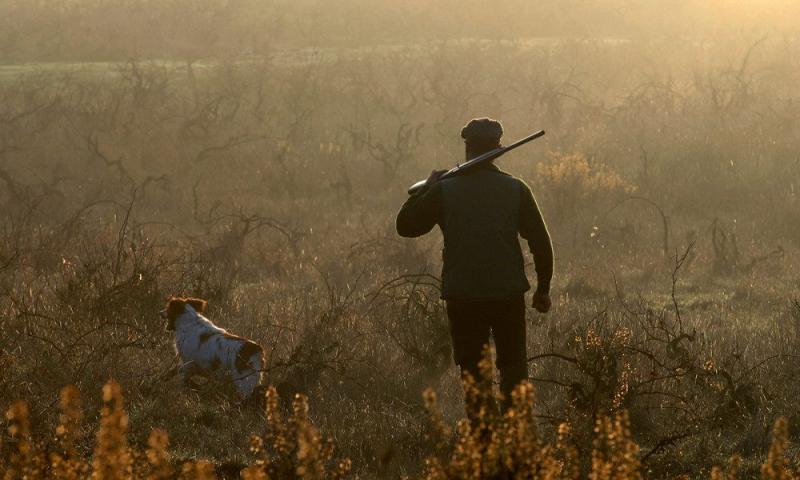 Egy különleges társas vadászat vár ránk a gyönyörű Bükk-fennsíkon - EgerHírek.