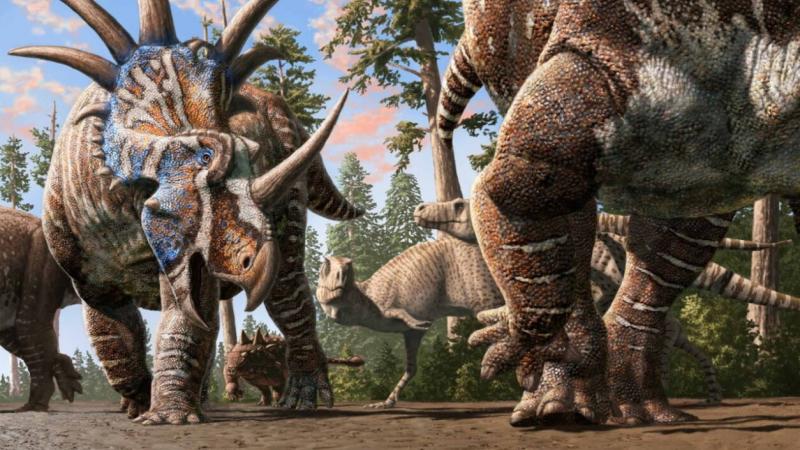 A dinoszauruszok különböző fajokból álló csordákban éltek, amelyek társas kapcsolataik és viselkedésük szempontjából is izgalmasak voltak | National Geographic