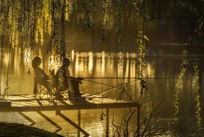 Hogyan válassz feeder botot kedvező áron?

A feeder horgászat népszerűsége folyamatosan növekszik, és sok horgász keres olyan eszközöket, amelyek nemcsak hatékonyak, hanem megfizethetőek is. Íme néhány tipp, hogyan találhatod meg a számodra legmegfelelőbb
