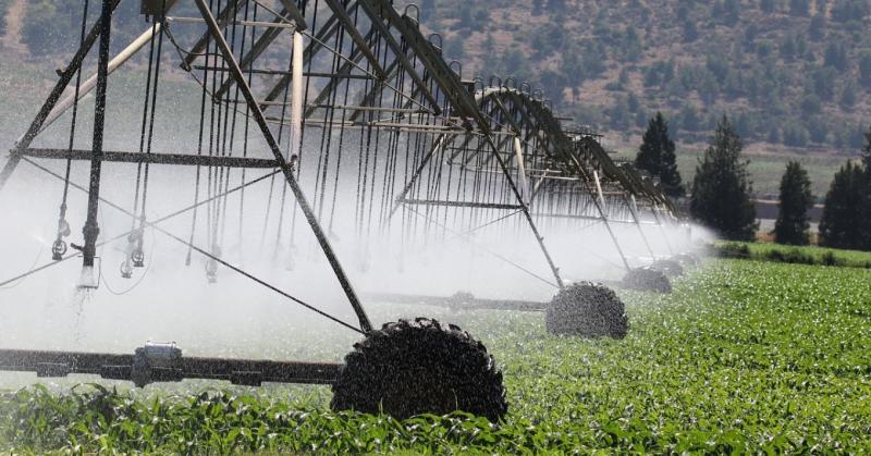 Agrárminisztériumi jelentés: A tájban még mindig fél Balatonnyi vízkészlet található.
