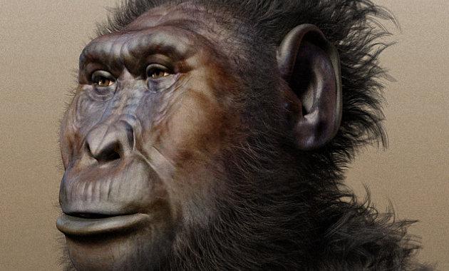 Paranthropus boisei: az első szerszámkészítők titkai

A Paranthropus boisei, gyakran emlegetett „dinasztiánk” egyik különleges képviselője, aki a történelem homályából bukkant fel, és nem csupán fizikai megjelenésével, hanem intelligenciájával is felkelte