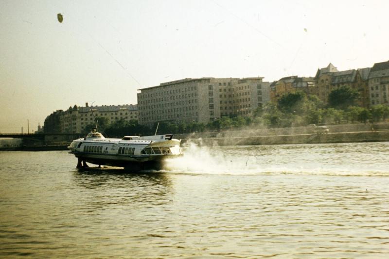 Ezek voltak a magyar vizek diadalmas urai, akik hatalmas sebességgel hódították meg a folyók és tavak világát.