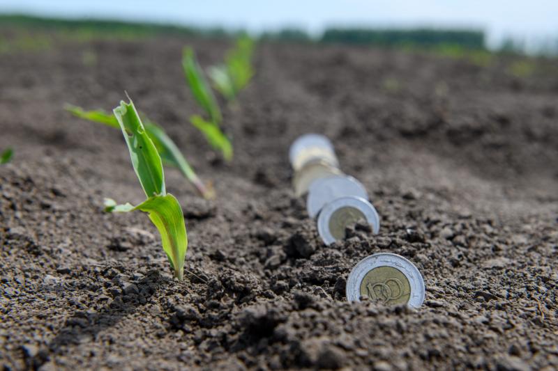 A kormány jelentős támogatást nyújt a gazdálkodóknak a Vidékfejlesztési Program keretein belül, amely jelentősen megkönnyíti a mezőgazdasági tevékenységeket. A program célja, hogy elősegítse a vidéki közösségek fejlődését és a fenntartható gazdálkodást.