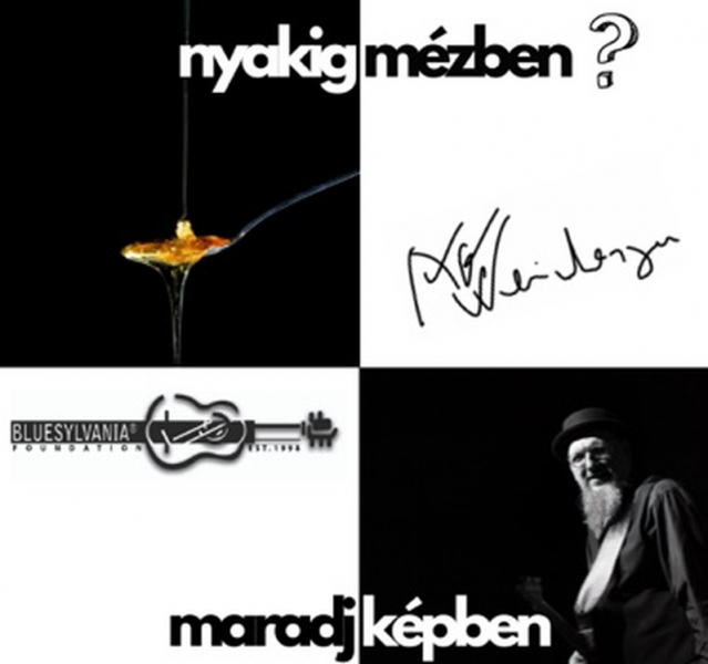 Nyakig mézben - Miért is jó a zene?

A zene egy varázslatos nyelv, amely mindenkihez eljut, függetlenül attól, hogy honnan származik vagy milyen kultúrában él. Képzelj el egy világot, ahol a dallamok és ritmusok olyanok, mint a méz - édesek, sűrűk és tele