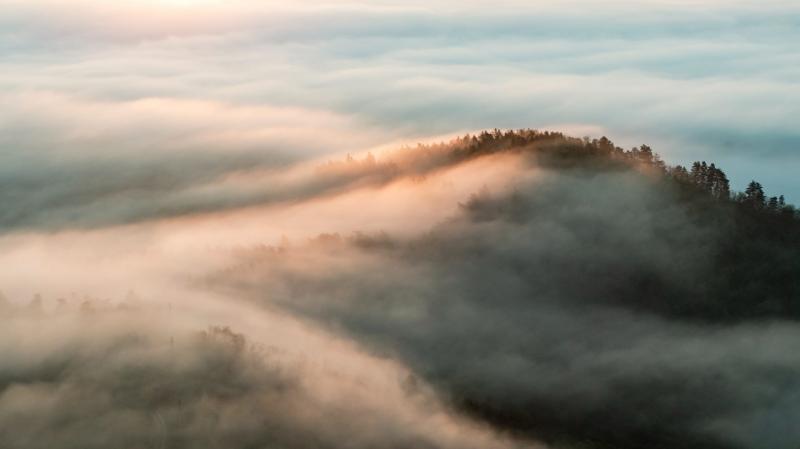 Legyen óvatos, ha útra kel! Ismét sűrű köd borítja be az országot.